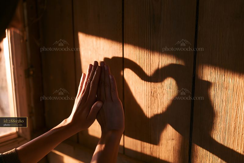 Hands Creating a Heart-Shaped Shadow on a Wooden Wall