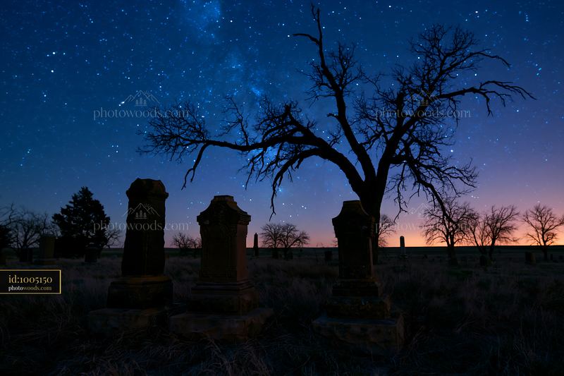 Headstones silhouetted against a starry sky at night