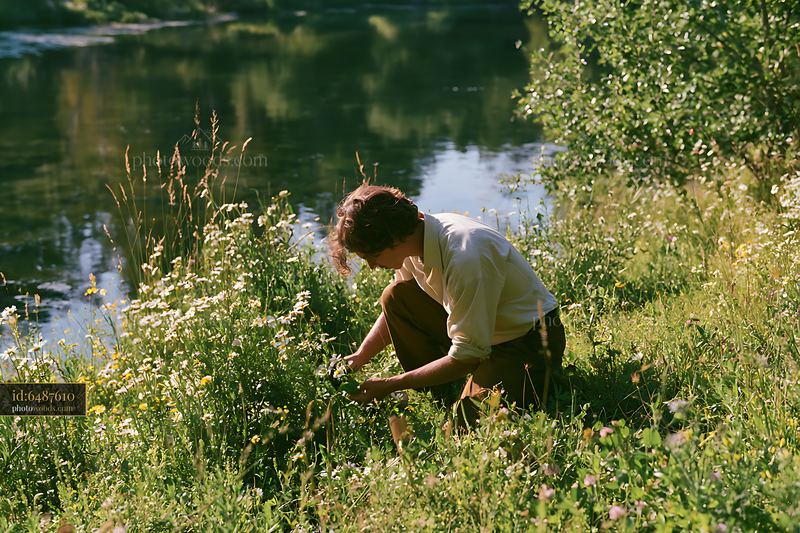 Meadow flowers beside a pond with person picking blossoms