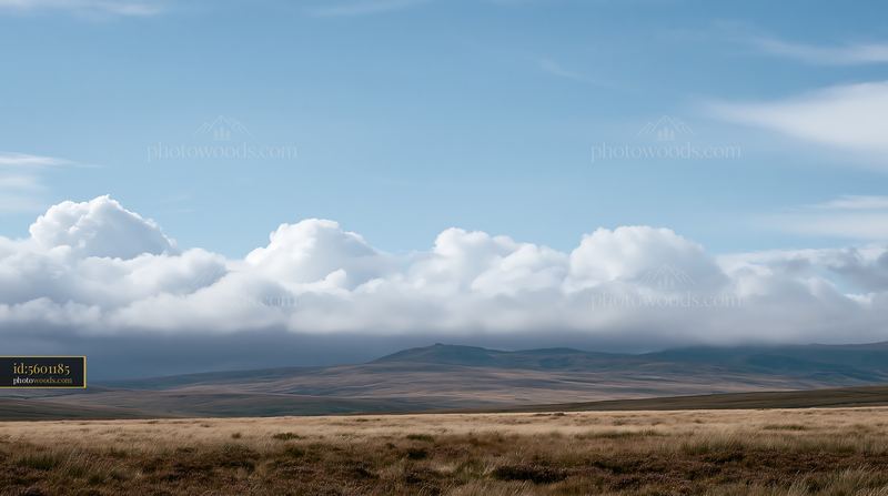 Moorland Landscape Under Grey Clouds in the Afternoon