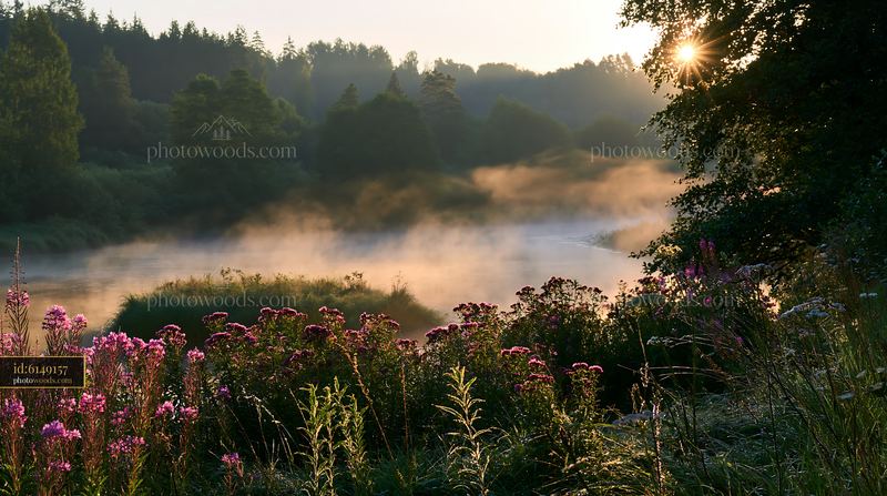 Morning light on an island with flowers surrounded by mist