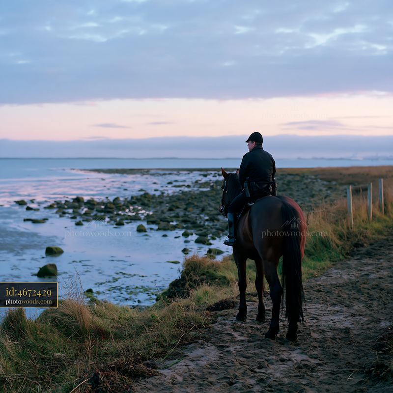 Mounted police officer beside a rocky coastal path