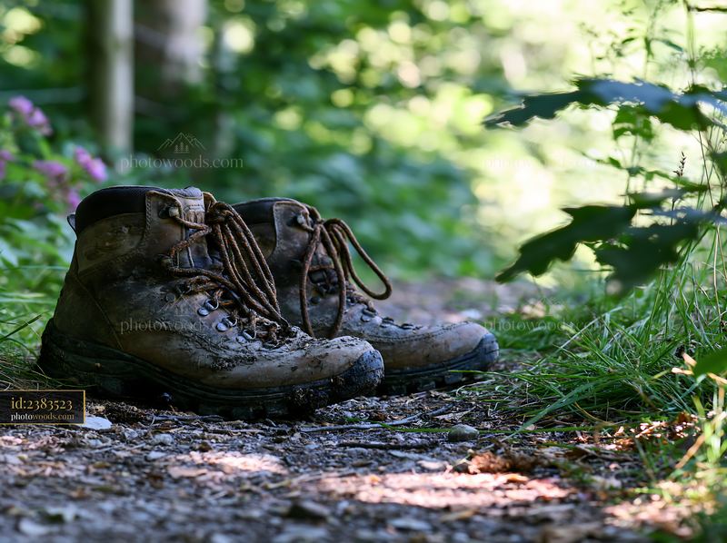 Muddy hiking boots left on a trail surrounded by green trees