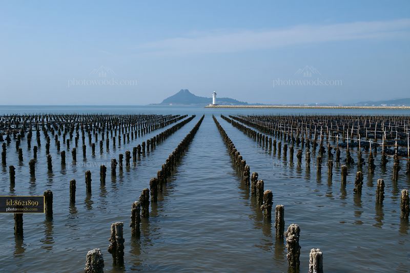 Coastline with mussel farms and a lighthouse in the background