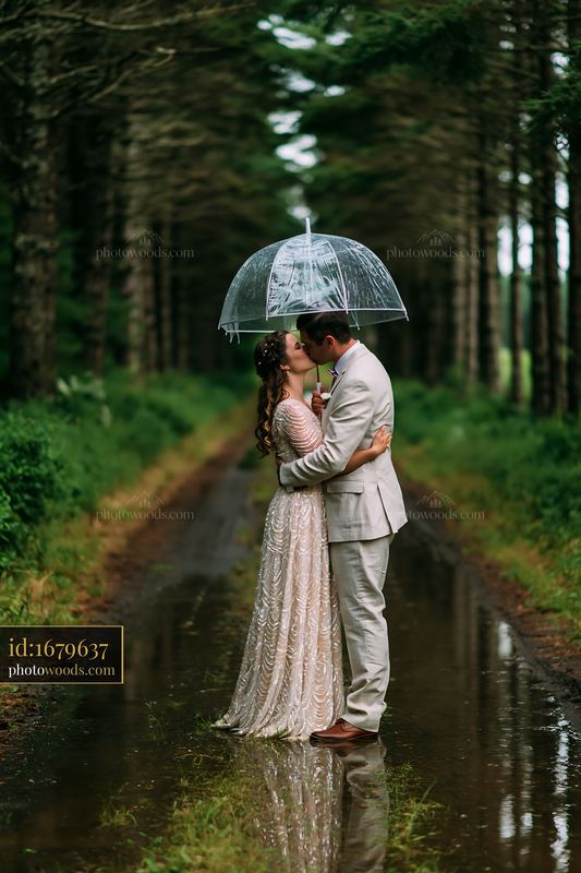 Newlywed Couple Kissing Under Umbrella on a Forest Road