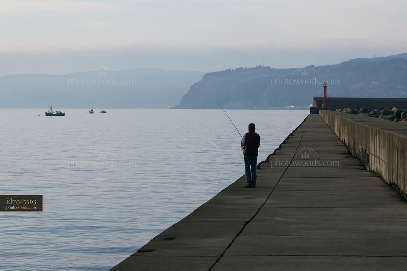 Coastline with protective sea wall and solitary fisherman