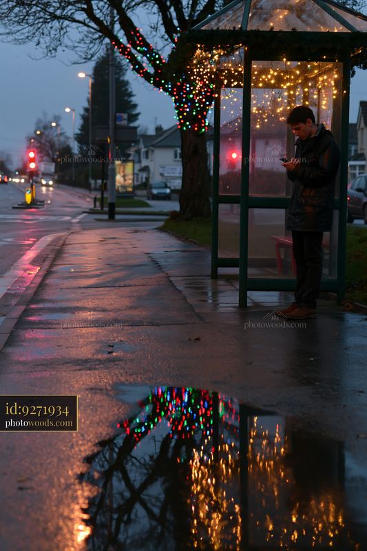 Christmas lights reflected on wet pavement at a bus shelter