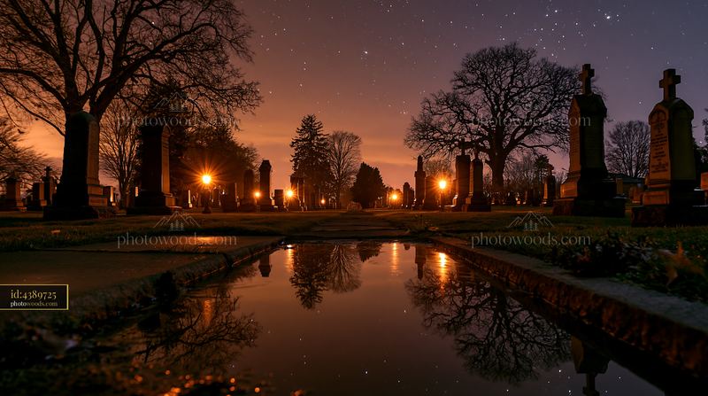 Rain-wet military gravestones under stars beside a reflective puddle