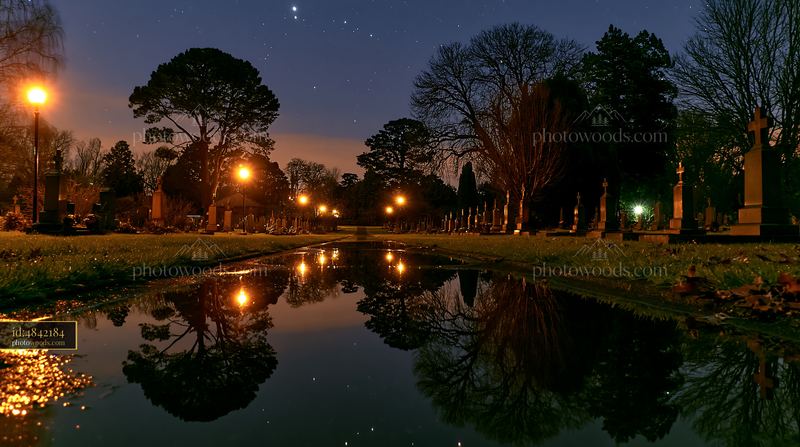 Rain-wet military gravestones under stars at night