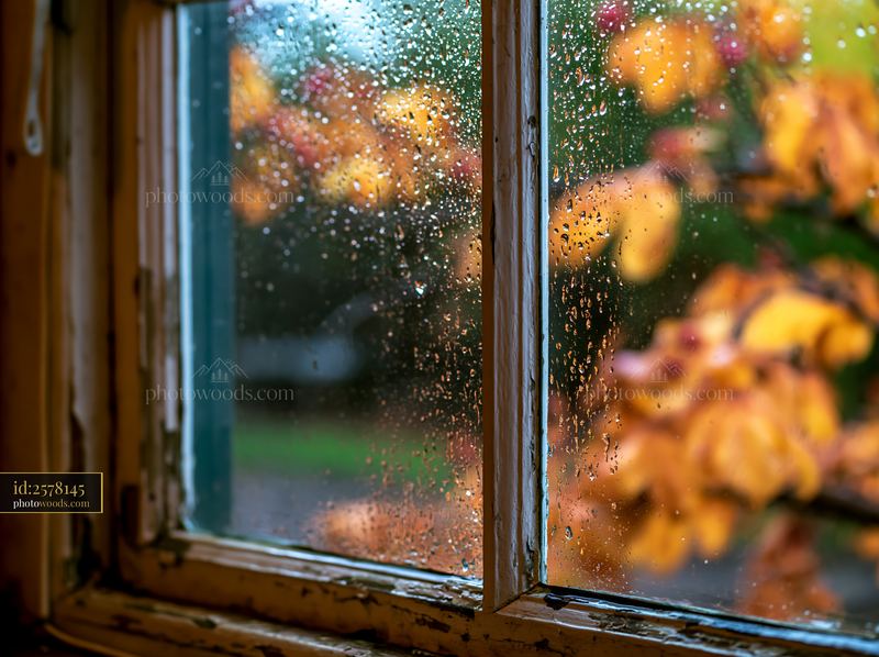 Close-up view of raindrops on a rustic window pane with autumn leaves