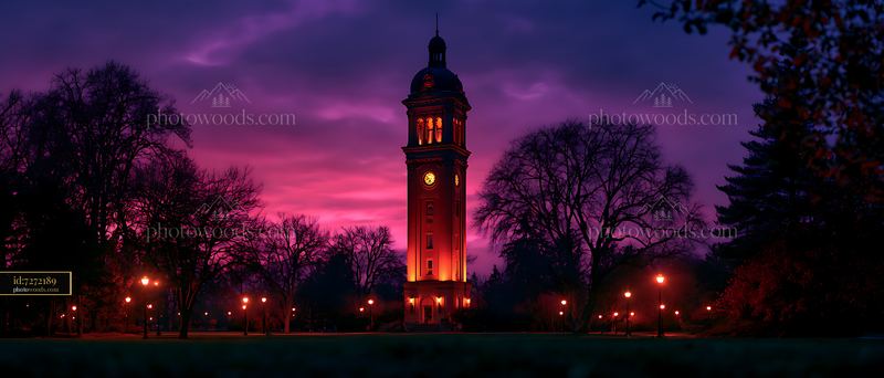 Replica Campanile Tower Glowing Against the Night Sky