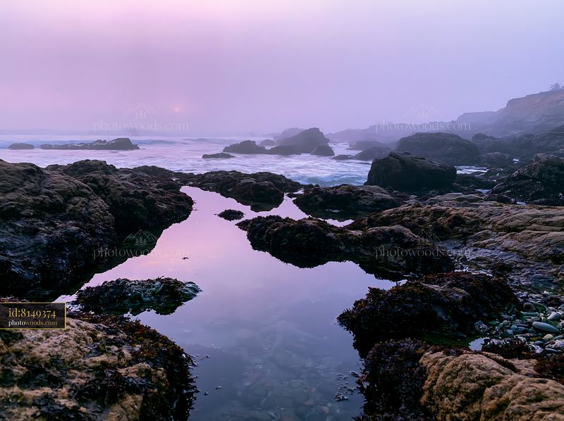 Coastline covered in sea fog at dusk with rocky shoreline