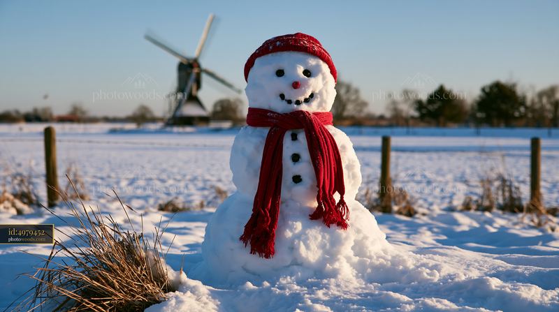 Snowman in a Snowy Field with Red Hat and Scarf