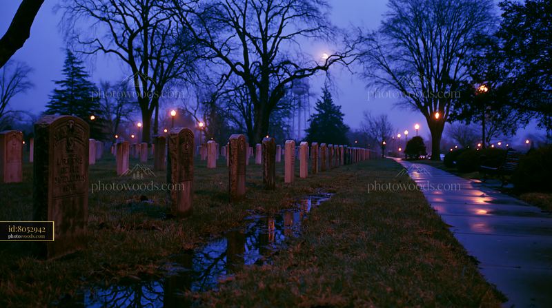 Soldier graves under a deep blue night sky in a quiet cemetery