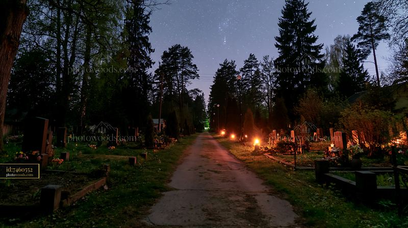 Spring flowers at soldiers' graves under stars at night