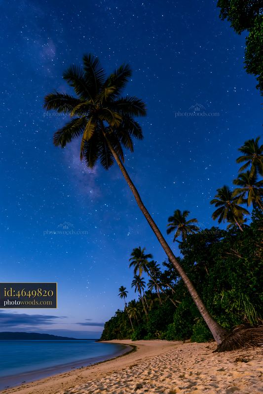 Starry night over a secluded island beach with palm trees