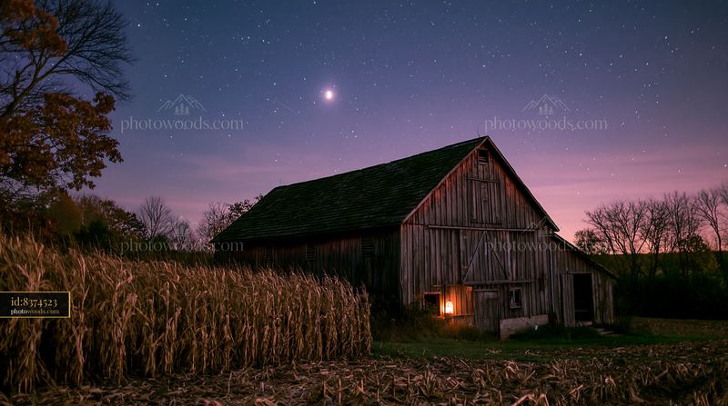 Starry night above a countryside barn with cornfield