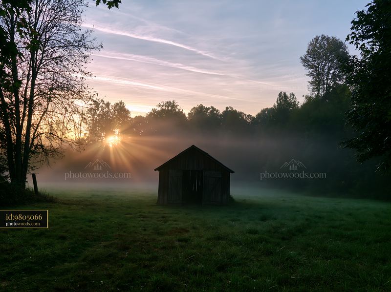 Sunbeams break over a misty meadow at dawn