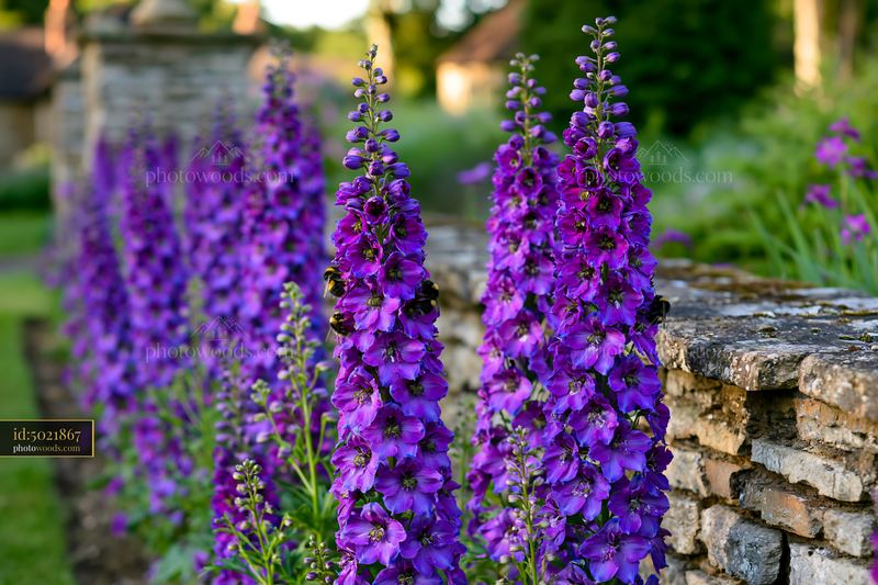 Vibrant delphinium flower border along a stone wall in a garden