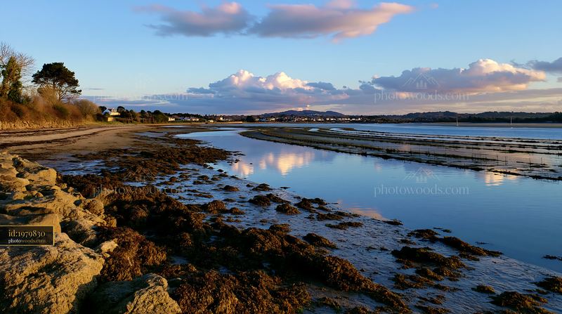 Coastline with mussel farms at low tide during sunset