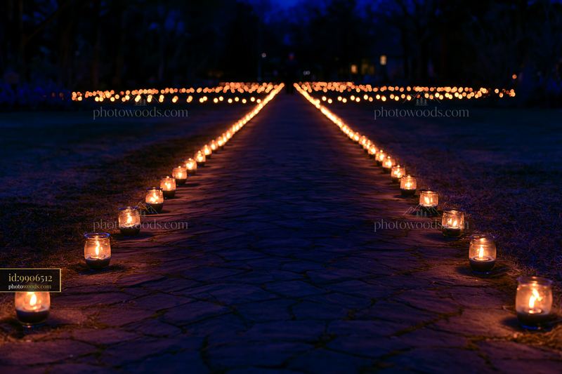Military memorial garden lit by candles at night