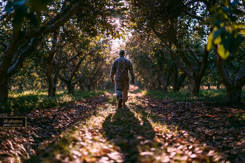 Soldier walking through orchard at sunset with shadow on ground