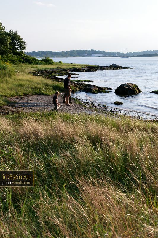 Meadow beside rocky shoreline with two people by calm water