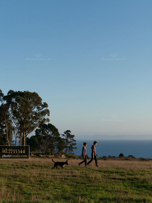 Two people walking a dog through a coastal meadow