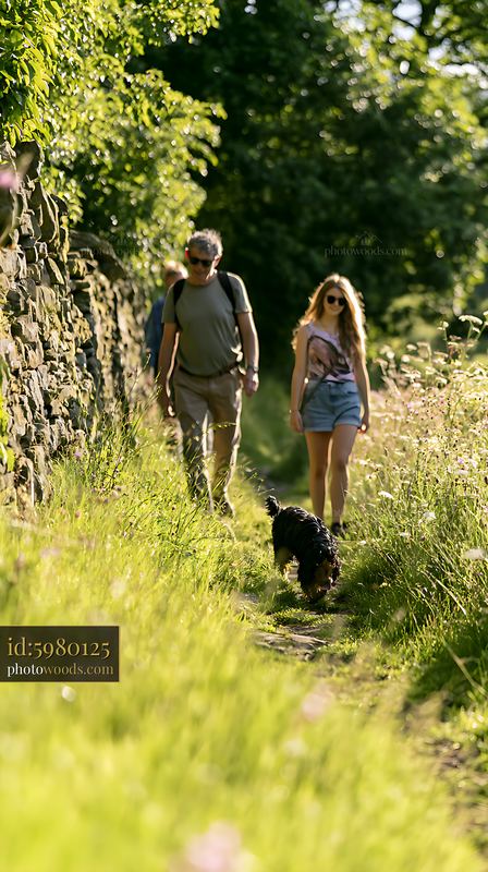 Two people walking a dog on a sunlit woodland path