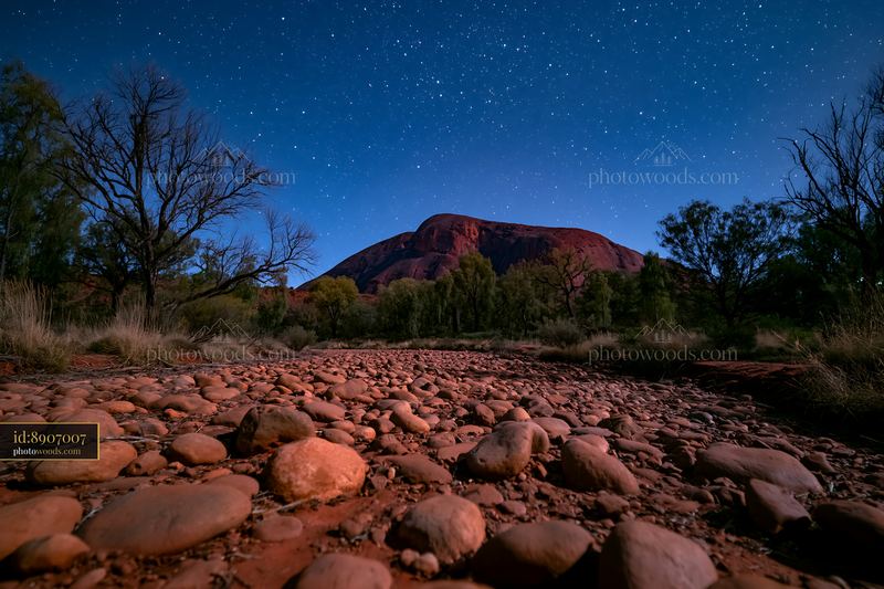 Uluru under a starry night sky with rock formations and trees
