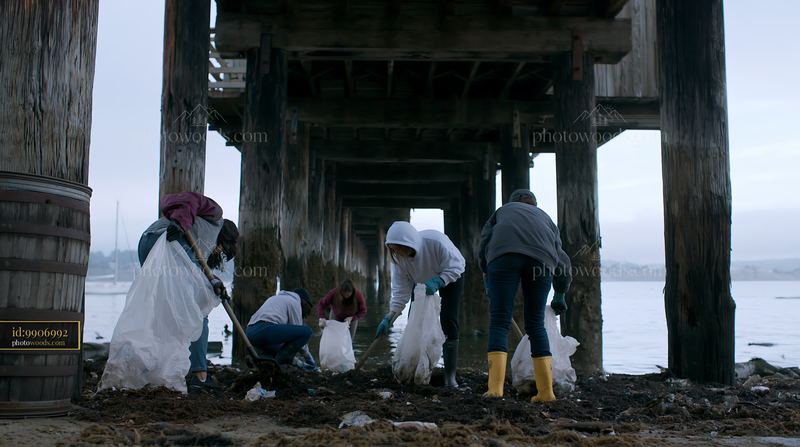 Coastline covered in sea fog during a beach cleanup event
