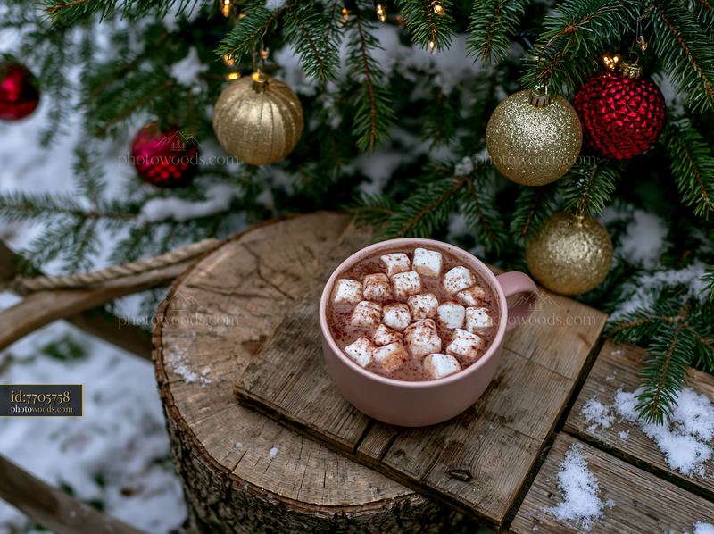 Warm cocoa with marshmallows on a wooden table near a tree