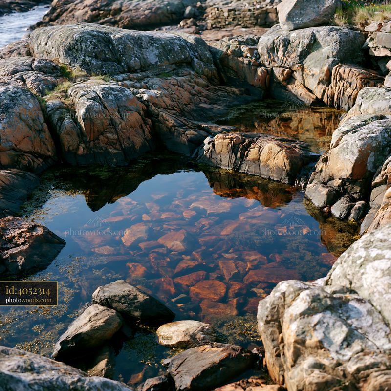 Coastline with exposed rocks and tide pools at low tide