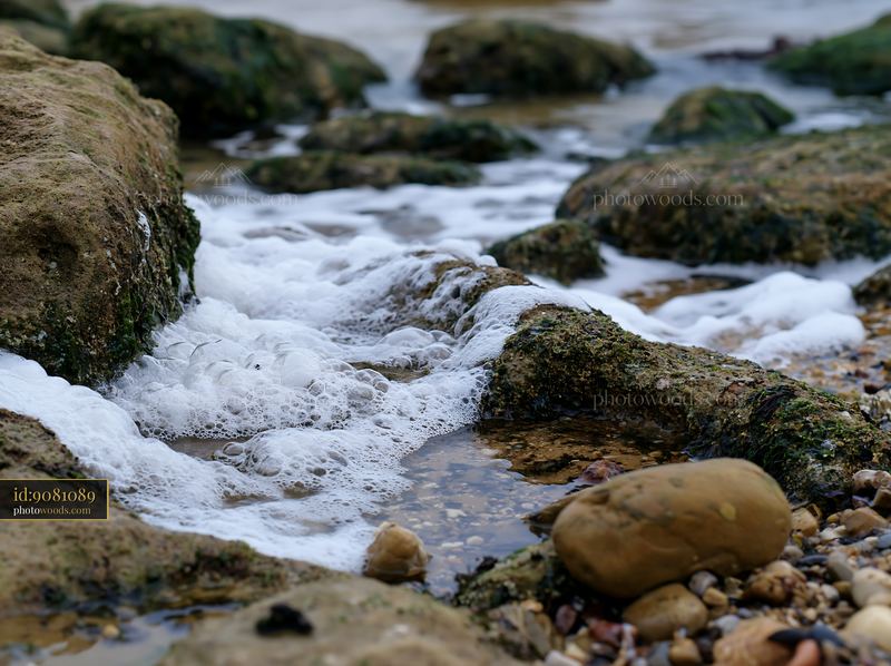 Coastline with exposed rocks and foamy water
