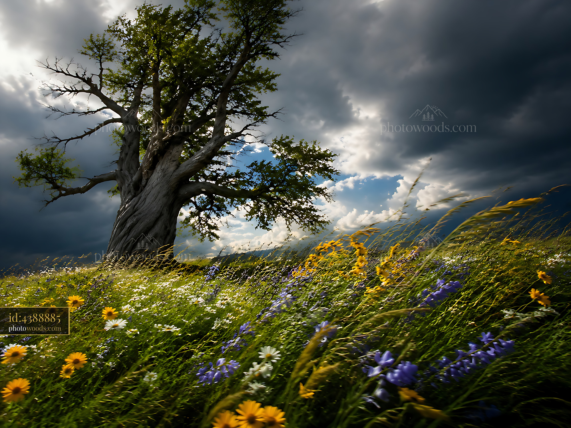Tree Stands in a Field of Wildflowers Under a Cloudy Sky