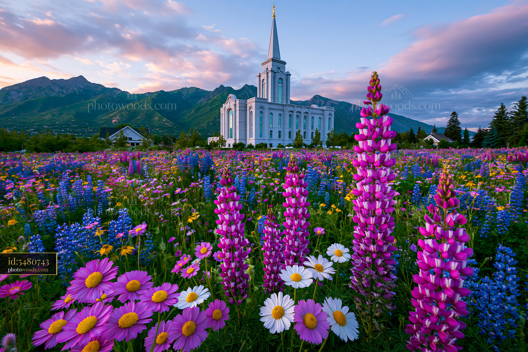 Colorful Flowers in a Field Near a Temple in Orem, Utah