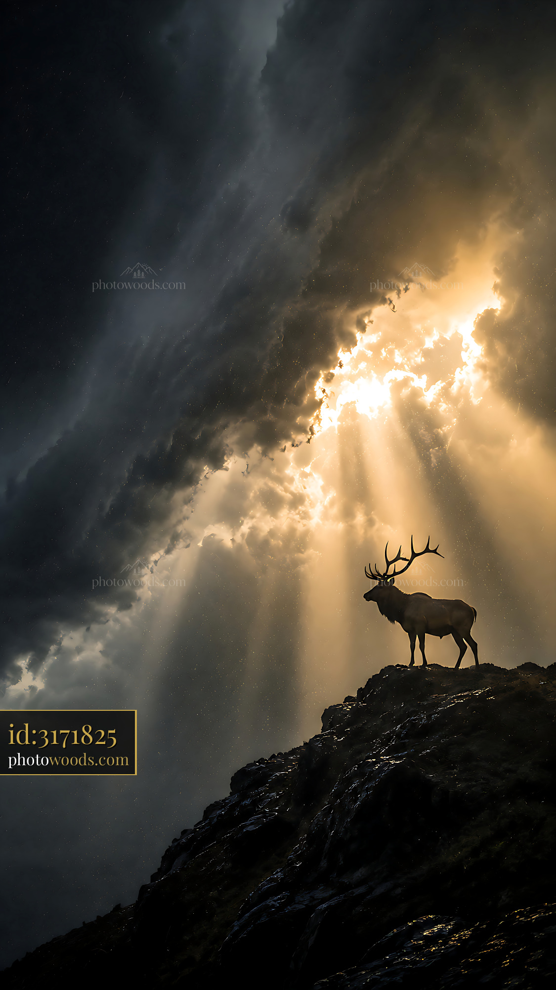 Elk Stands on Rock Under Cloudy Sky With Rays of Sunlight
