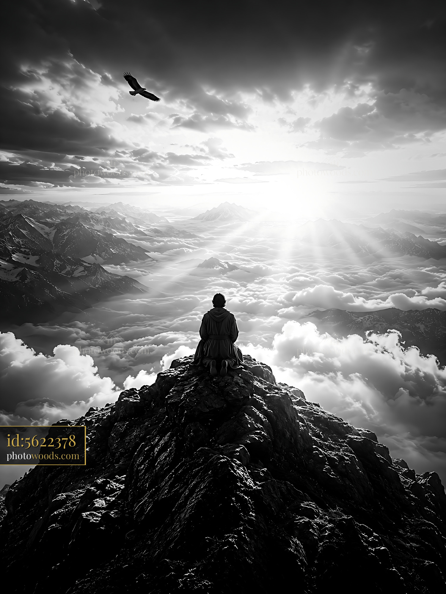 Mountain Dweller Sits on Rocky Peak Under Cloudy Sky