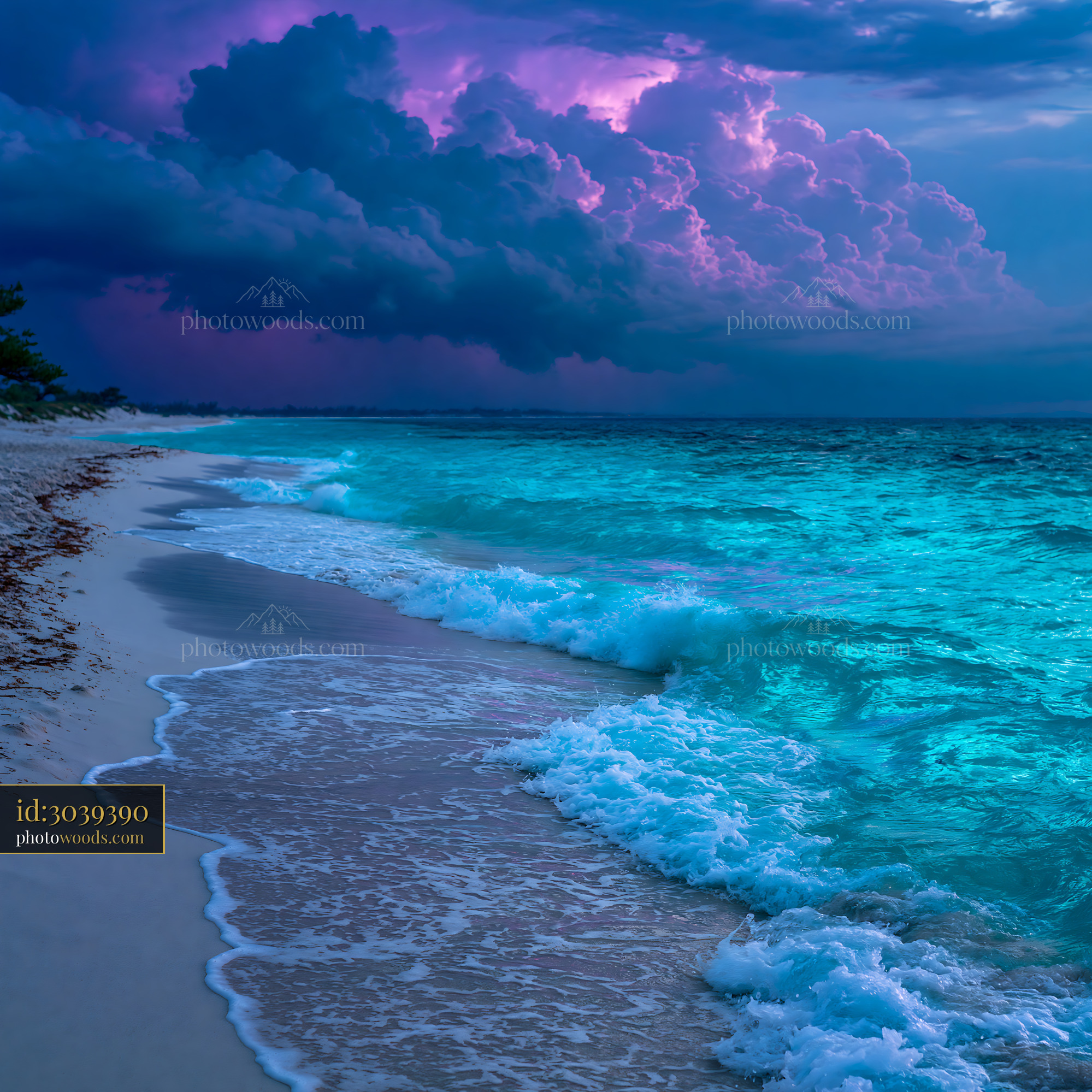 Tropical Beach With Turquoise Water and Stormy Clouds in the Sky