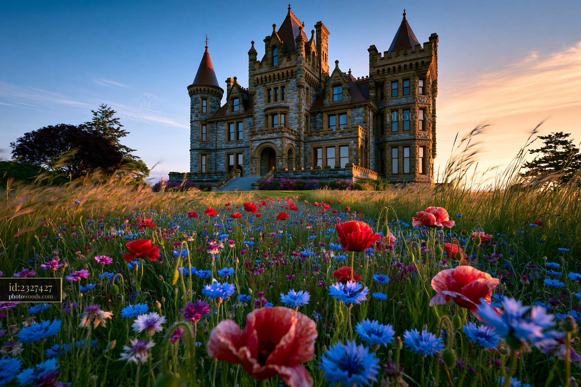 Manor House Surrounded by Flowers at Sunset in Rural Landscape