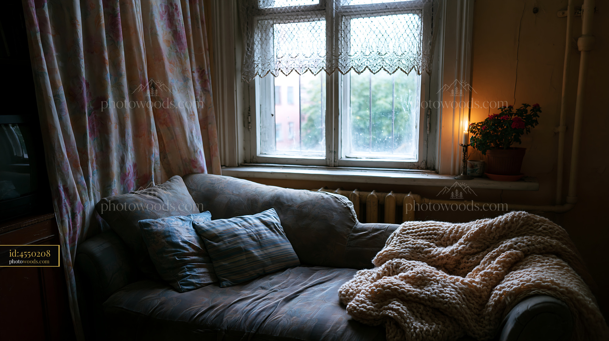 Cozy Flat Room With a Sofa, Window, and Flower Pot