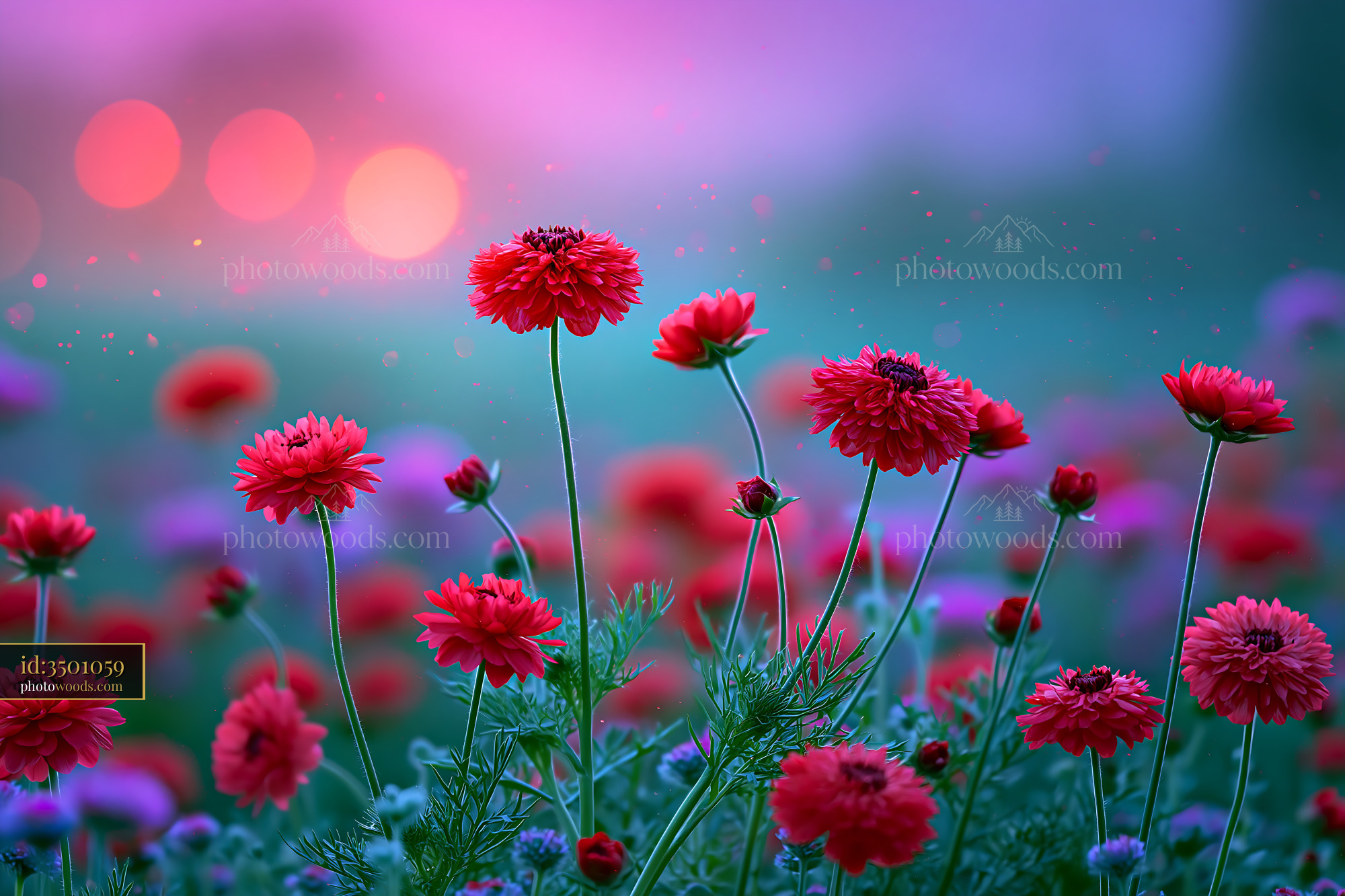 Red Flowers Bloom in a Colorful Garden During Sunset