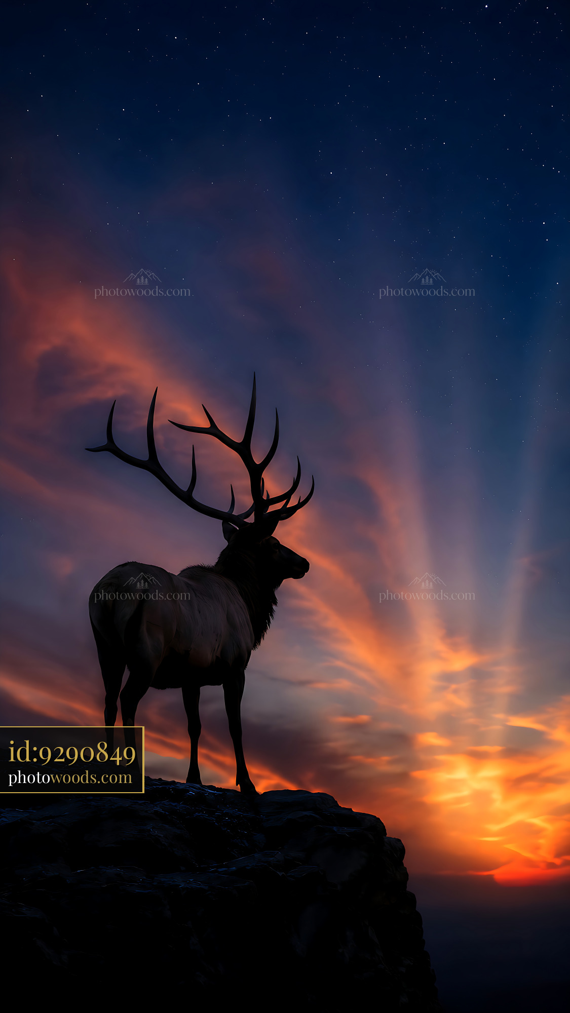 Elk Stands on a Cliff at Sunset With Colorful Sky