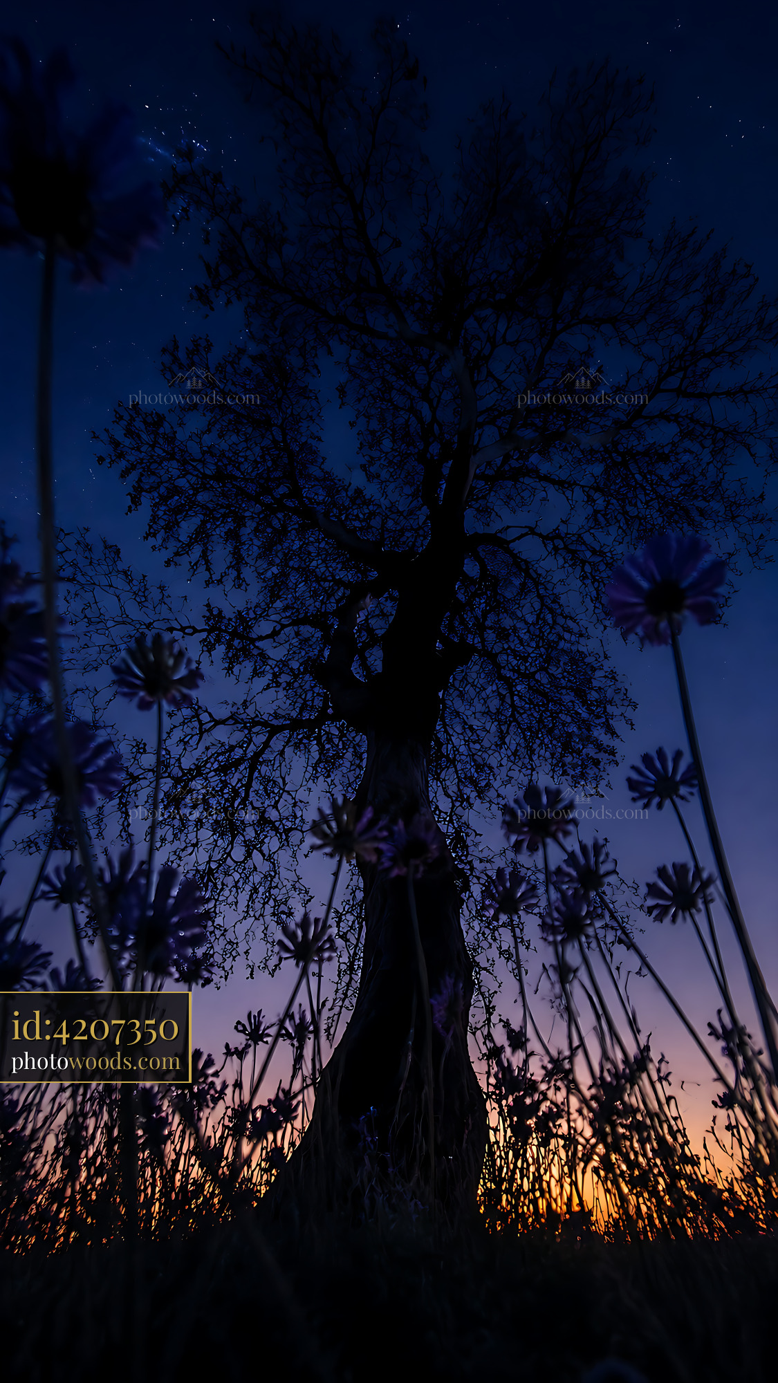 Tree Stands Silhouetted Against a Twilight Sky With Flowers Below