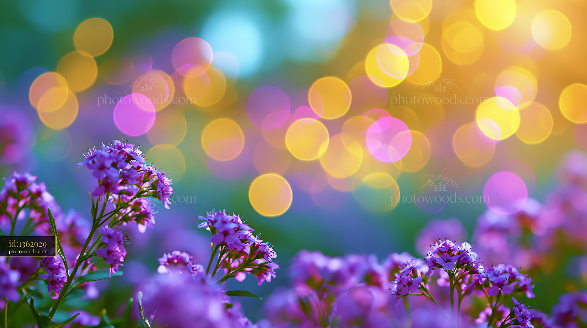 Flowers Bloom in a Garden With Colorful Lights Shining Bright