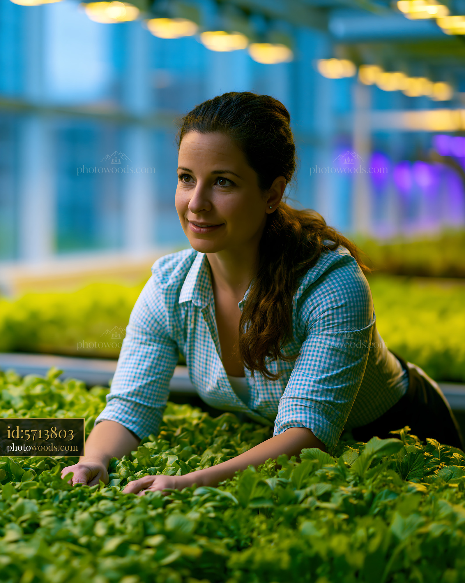 City Planner Tending to Green Plants in a Rain Garden