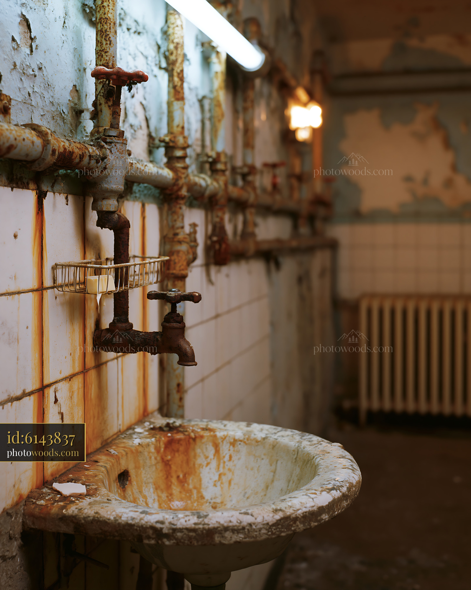 Grimy Communal Bathroom With Rusty Pipes and Worn Sink