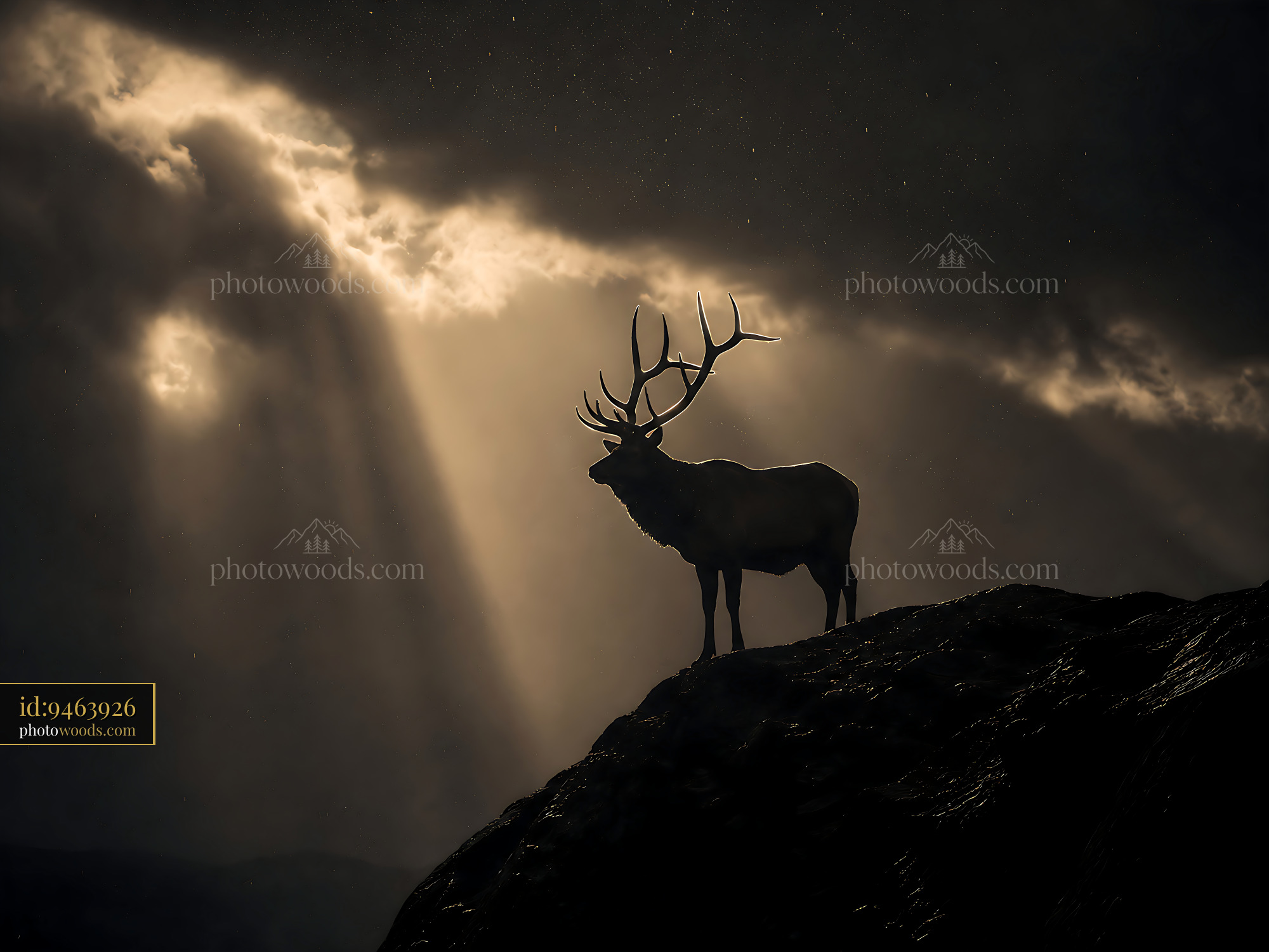 Stag Stands on a Rock Under Sunlight Breaking Through Clouds