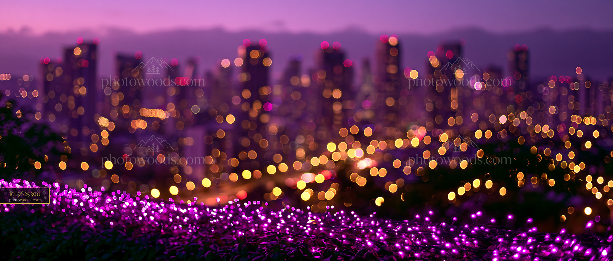 City Skyline Viewed at Dusk With Purple Flowers in Foreground