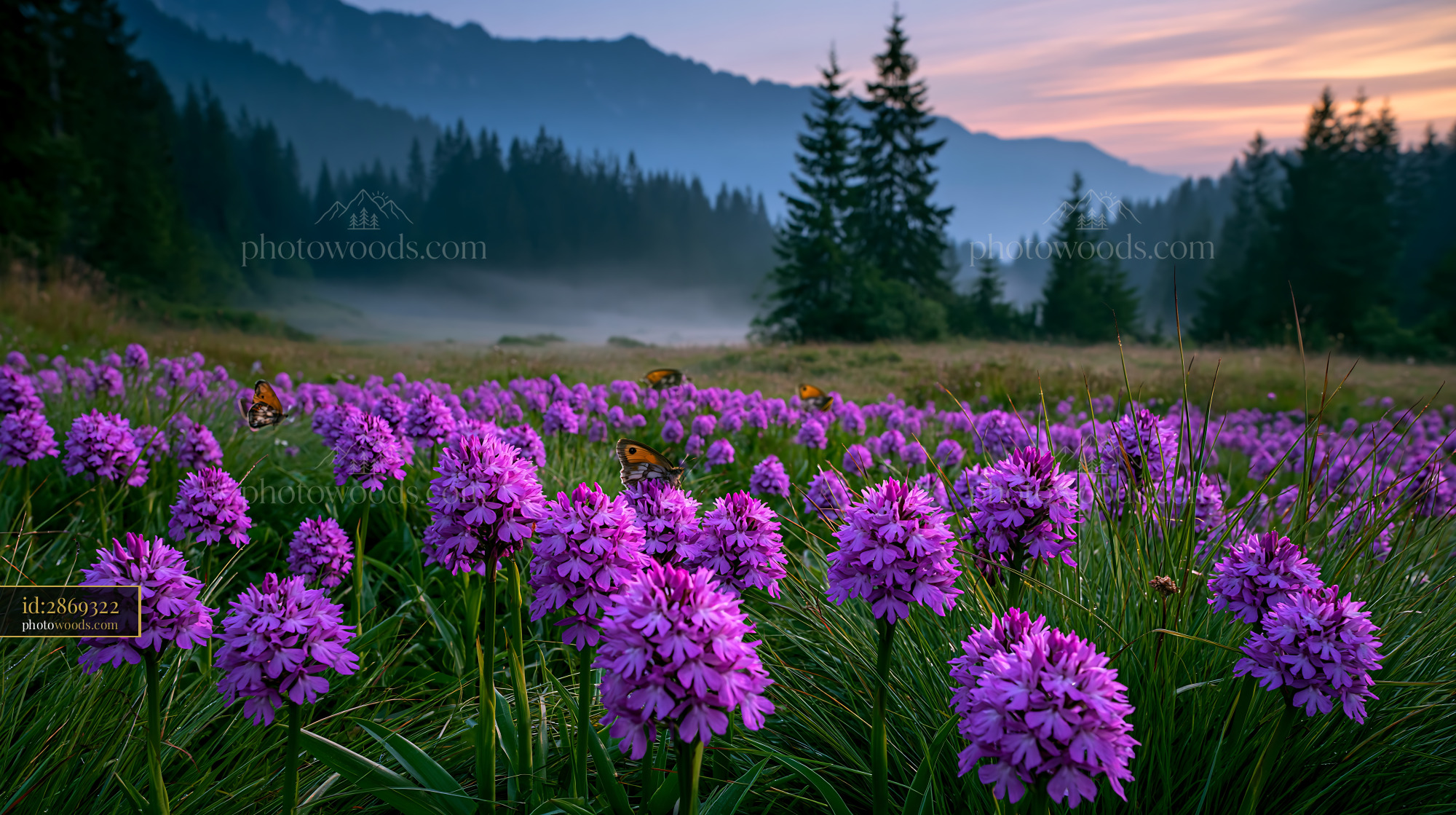 Fragrant Vanilla Orchids in a Misty Alpine Meadow at Dawn